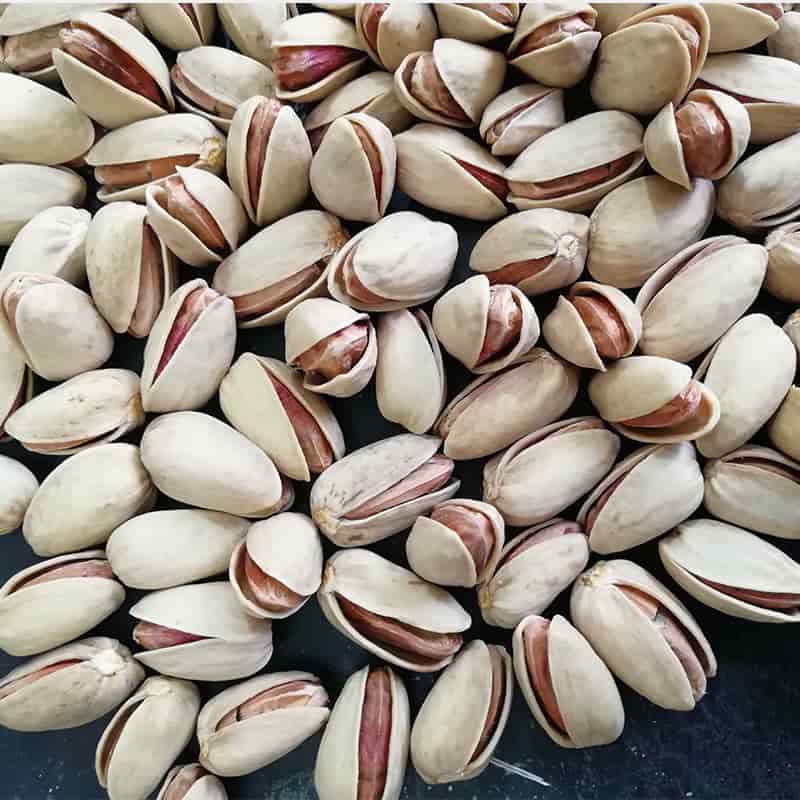 تصویر 3 از قیمت فروش پسته اکبری خندان + فروش صادراتی